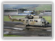 Cougar Swiss AF T-335_1